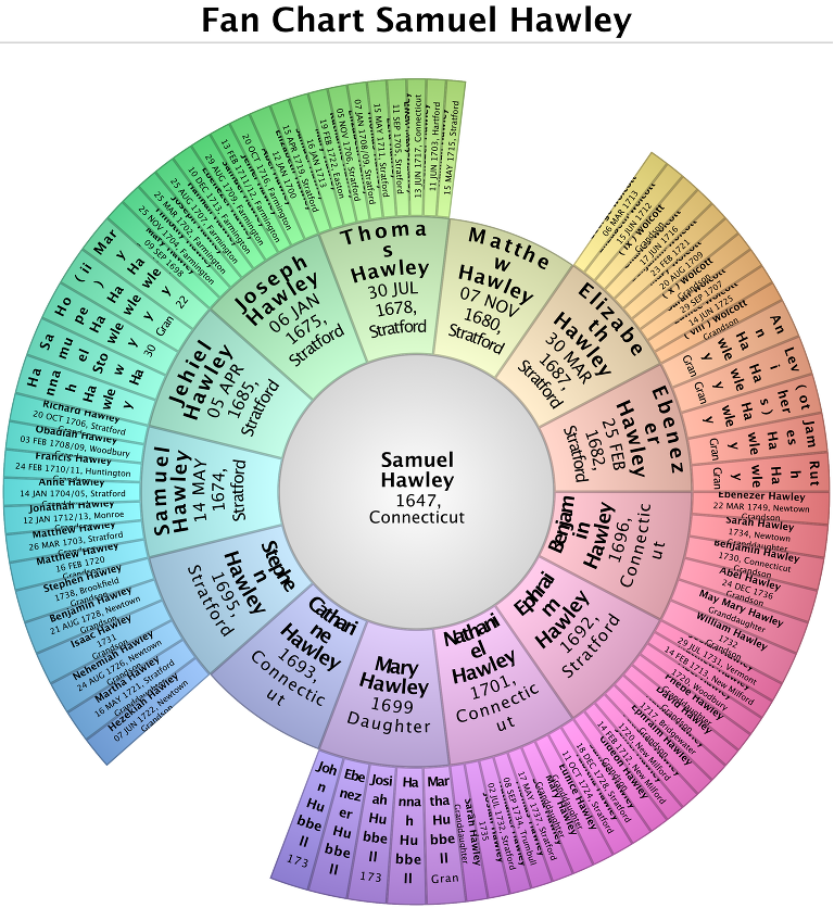 Fan Chart Samuel hawley